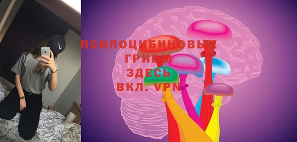 таблы Алзамай