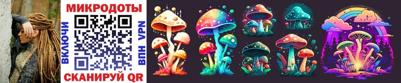 Галлюциногенные грибы Psilocybe  Купить где  Северская 