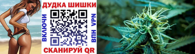 Купить  Северская  Каннабис ГИДРОПОН 